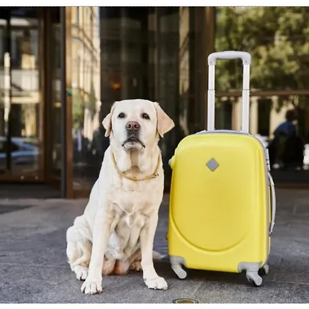 Kvarner-rooms With Private Bathrooms& Dorms Rijeka