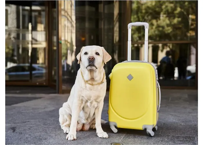 Kvarner-rooms With Private Bathrooms& Dorms リエカ